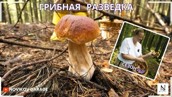 Грибы Rutube