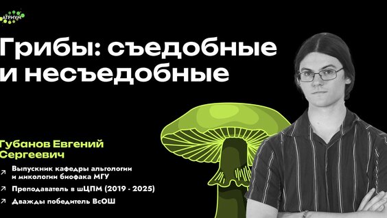 Грибы Rutube