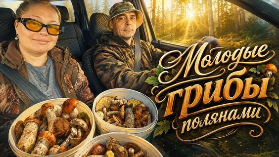 Грибы Rutube