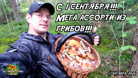 Грибы VK Видео