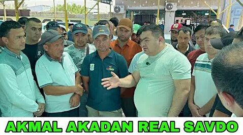 HammAli YouTube