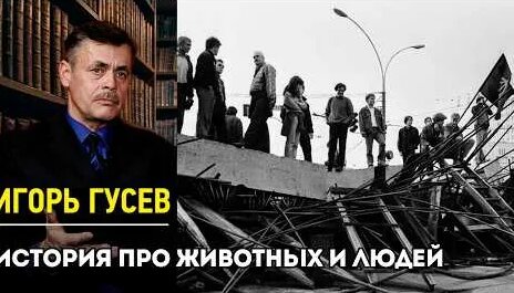 Игорь Гусев YouTube