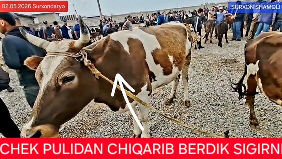 ILICH YouTube