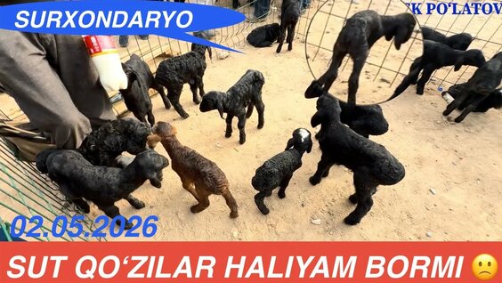 ILICH YouTube