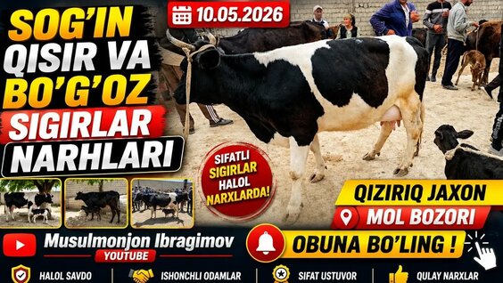 ILICH YouTube