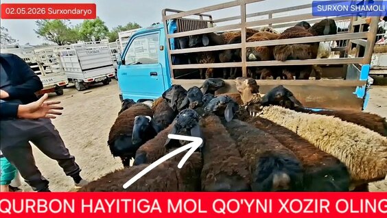 ILICH YouTube