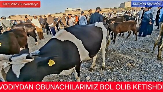ILICH YouTube