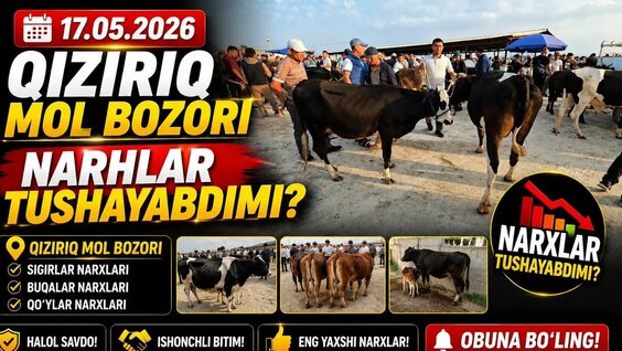 ILICH YouTube