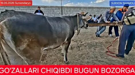 ILICH YouTube