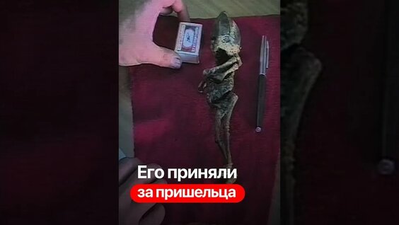 Илья Варламов YouTube