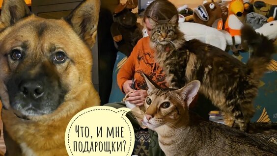 Ирина Безрукова Rutube