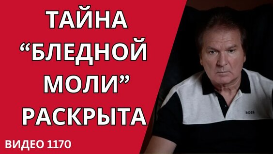 Ирина Слуцкая YouTube