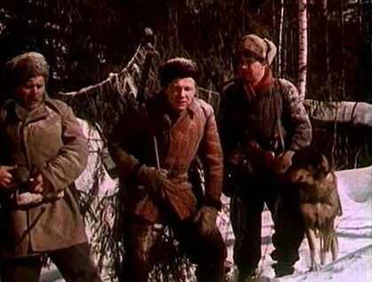 Иван Коваль-Самборский VK Видео