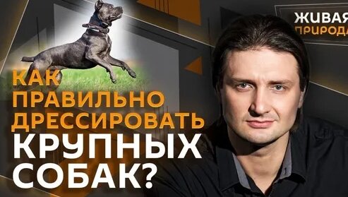 Кан Дзен