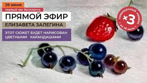 Карандаш Дзен