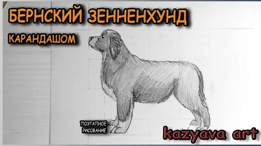Карандаш Дзен