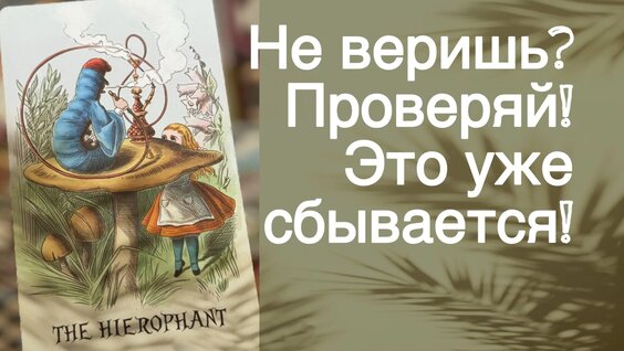 Карина Нигай Rutube