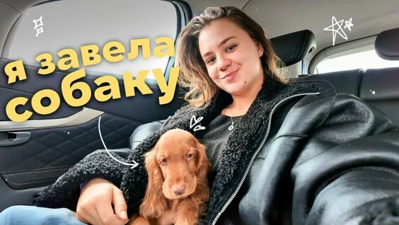 Катя Адушкина VK Видео
