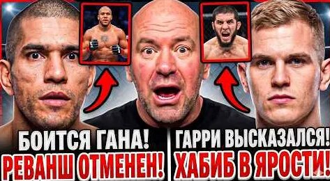 Хабиб YouTube