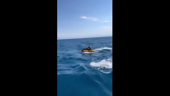 Хасбик VK Видео