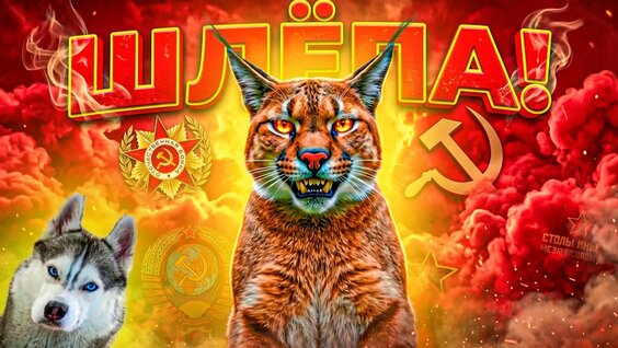 Хаски Rutube