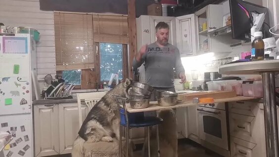 Хаски VK Видео