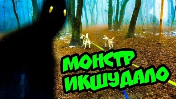 Хаски VK Видео