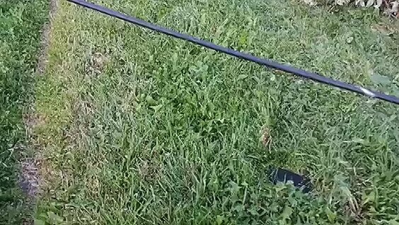 Хаски VK Видео