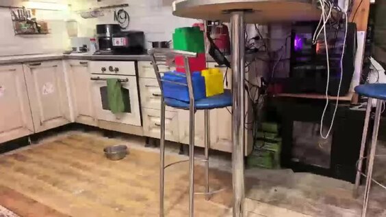 Хаски VK Видео