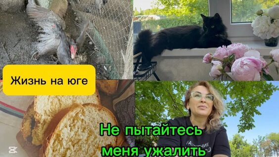 Хлеб YouTube