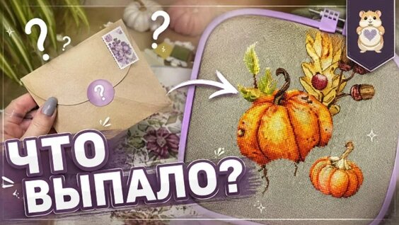 Хомяк VK Видео