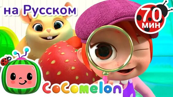 Хомяк VK Видео