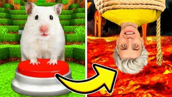 Хомяк Rutube
