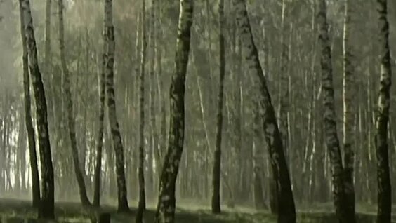 Кирилл Лавров VK Видео