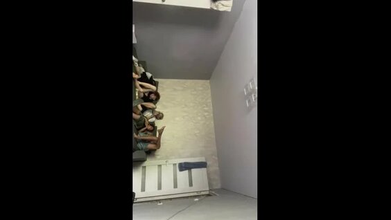 Кис-Кис VK Видео