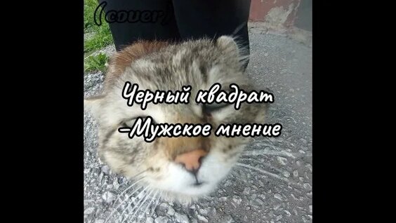 Комсомольск Rutube