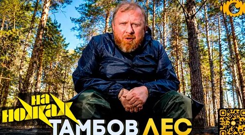 Константин Ивлев Дзен
