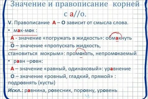 Корни Rutube