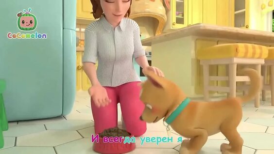 Краски VK Видео