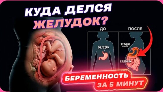 Ксения Дукалис YouTube