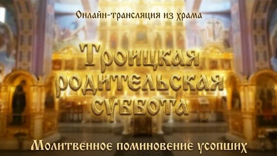 Ксения Петербургская VK Видео