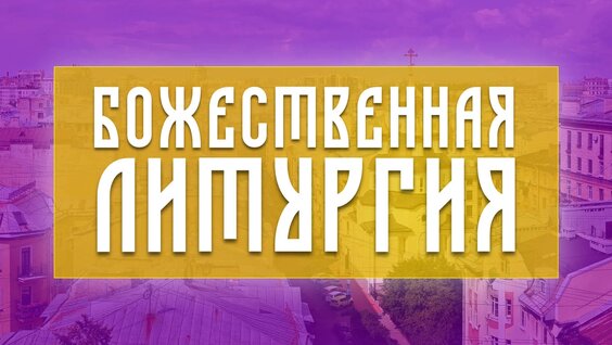Ксения Петербургская VK Видео