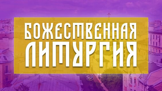 Ксения Петербургская VK Видео