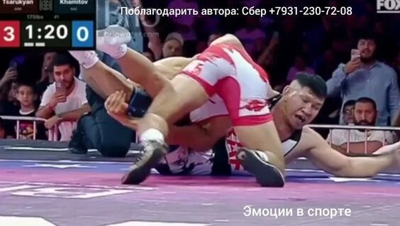 Куат Хамитов Rutube