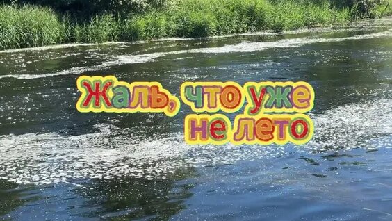 Кузьма неделю назад