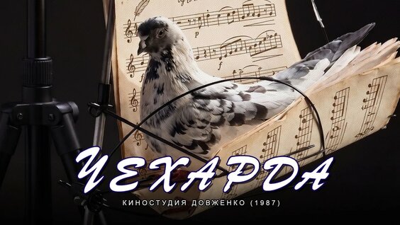 Лариса Удовиченко YouTube