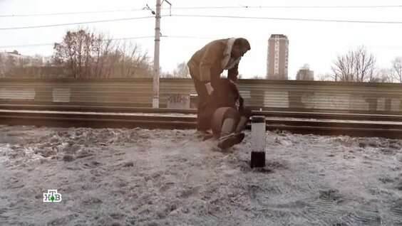 Леонид Каневский Rutube