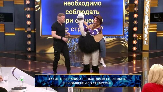 Лера Кудрявцева VK Видео