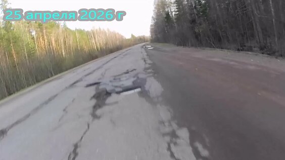 Леша Свик VK Видео