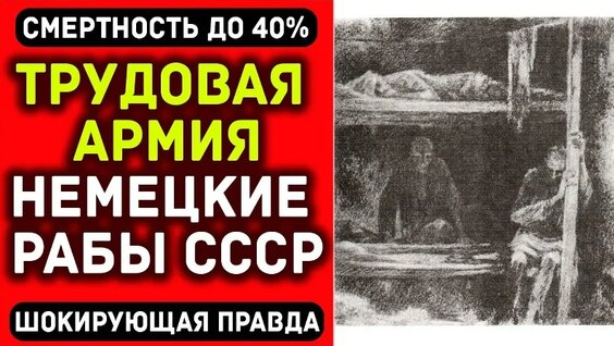 Лесоповал VK Видео